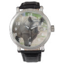 Recherche de dange montres En danger