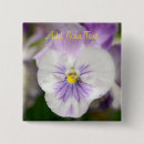 Recherche de pansement badges Panneaux