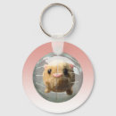 Recherche de hamsters porteclés Animaux