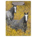 Recherche de champ des fleurs porte blocs Animal