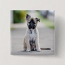 Zoek naar duitse herders buttons Puppy