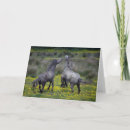 Zoek naar twee paarden kaarten Ranch
