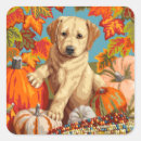 Zoek naar labrador puppy stickers Gezelschapsdieren