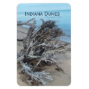 Recherche de dunes magnets Nature
