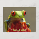 Recherche de grenouille costa rica cartes postales Faune