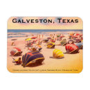 Zoek naar galveston magneten Texas