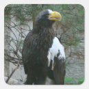 Recherche de oiseau de mer autocollants Animaux