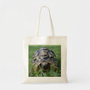 Recherche de tortues sacs Animal