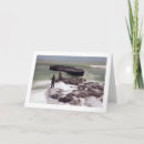 Recherche de pêcheur photographie Nature