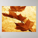 Recherche de environs posters Couleur