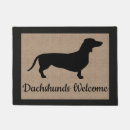 Recherche de teckel paillassons Animaux familiers