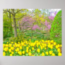 Zoek naar gele tulpen posters Natuur