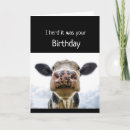 Recherche de humour gâteau anniversaire cartes Animal