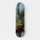 Recherche de arbre comp skateboards Noix de coco
