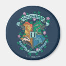 Recherche de sorcellerie magnets Harry potter