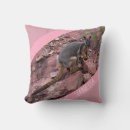 Recherche de wallaby Animal