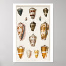 Zoek naar goudsmid posters Vintage