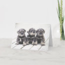 Zoek naar vooraanzicht briefkaarten Het bekijken camera