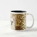 Recherche de mélange tasses Motif