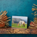 Recherche de haut plaques Cheval