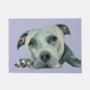 Recherche de pitbull américain Terrier de pitbull américain