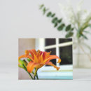 Recherche de tigre cartes postales Fleur
