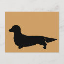 Recherche de teckel cartes postales Doxie