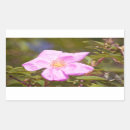 Recherche de arbuste autocollants Rose