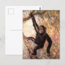 Zoek naar jungle briefkaarten Afrika