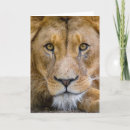 Recherche de lion toutes vœux cartes Blanc