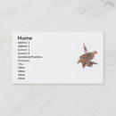 Recherche de oiseaux sauvages cartes visite Affaires