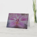 Zoek naar infinity kaarten Roze