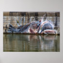 Recherche de rue posters Drôle