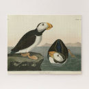 Zoek naar papegaaiduiker puzzels Vogel