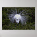 Zoek naar kruiden kunst Fotografie