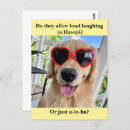 Recherche de meme cartes postales Chien