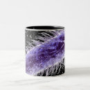 Recherche de microscopique tasses Illustration