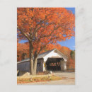 Recherche de pont couvert cartes postales Ponts
