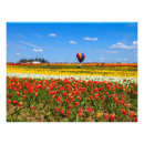 Recherche de ballon rouge posters Toute personne