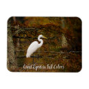 Recherche de aiguilles magnets Oiseaux