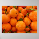Recherche de mandarine posters Photographie