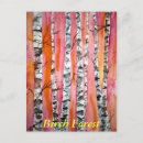Recherche de bouleaux cartes postales Arbre