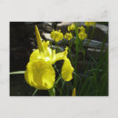 Recherche de brights photographie Fleur