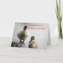 Recherche de canard vœux cartes Fille