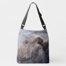 Recherche de loutre mer sacs Vie marine