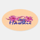 Recherche de hawaii autocollants Hibiscus