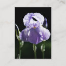 Recherche de iris cartes visite Violet