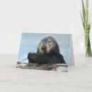Recherche de loutre vœux cartes De transport