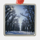 Zoek naar utah ornamenten Buiten