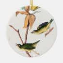 Zoek naar botanische tekening ornamenten Vintage